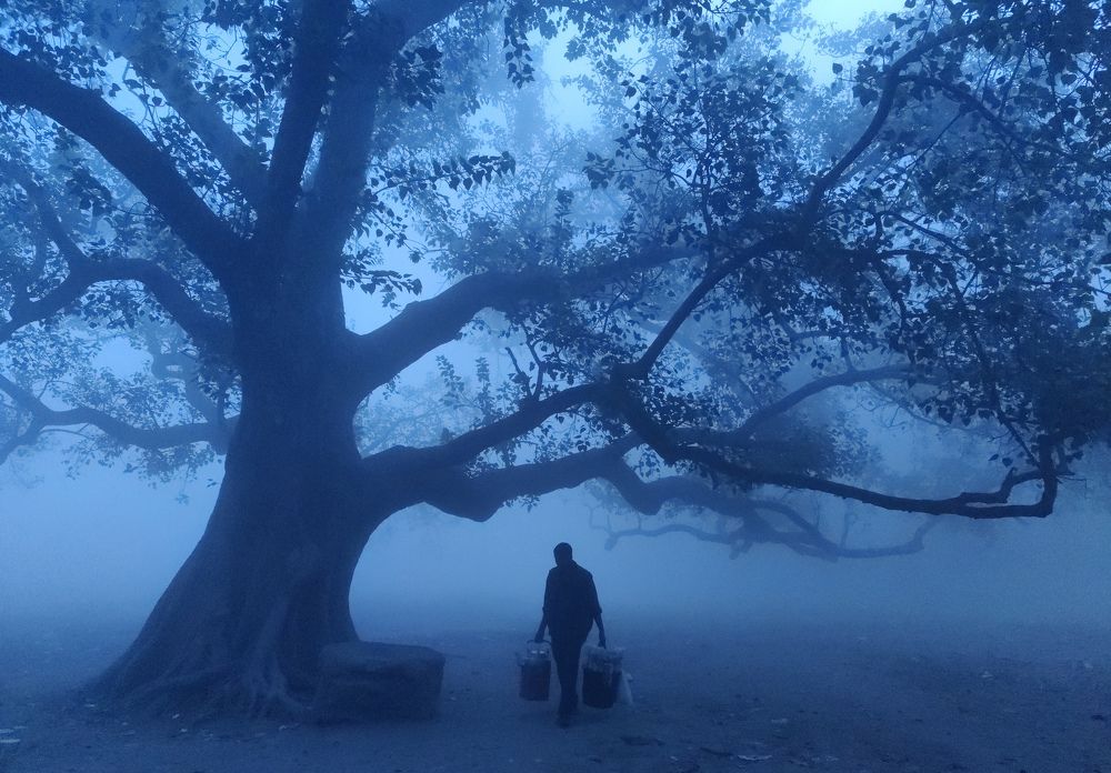 The Tea seller and the Mist