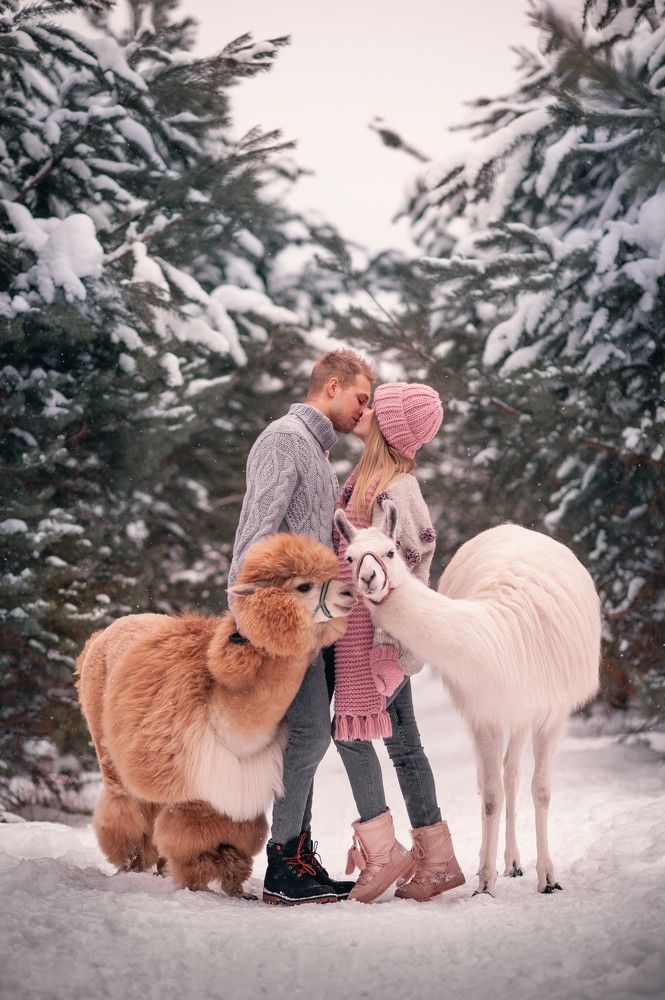 Photograph by Евгения Тимощенко