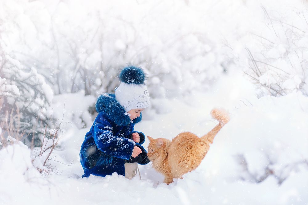 Фотография автора Яна Романова