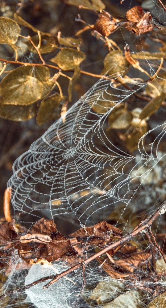 Фотография автора Евгений Вагуро