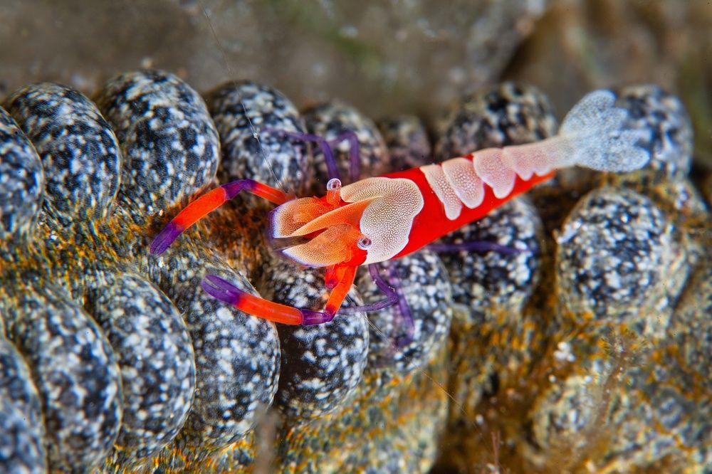 Фотография автора Нарчук Андрей