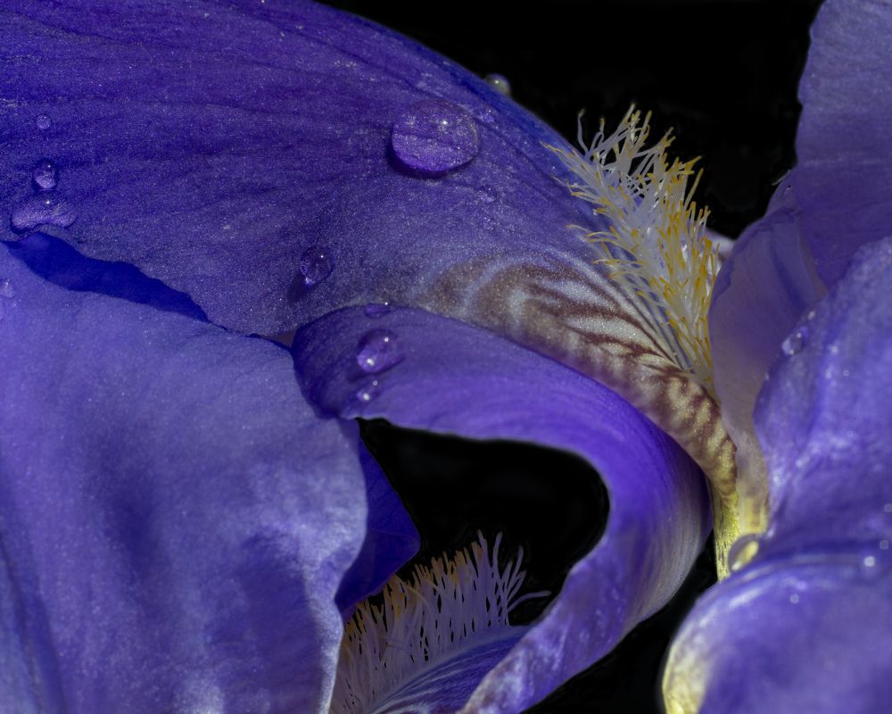 Photograph by Дмитрий Бельмаз