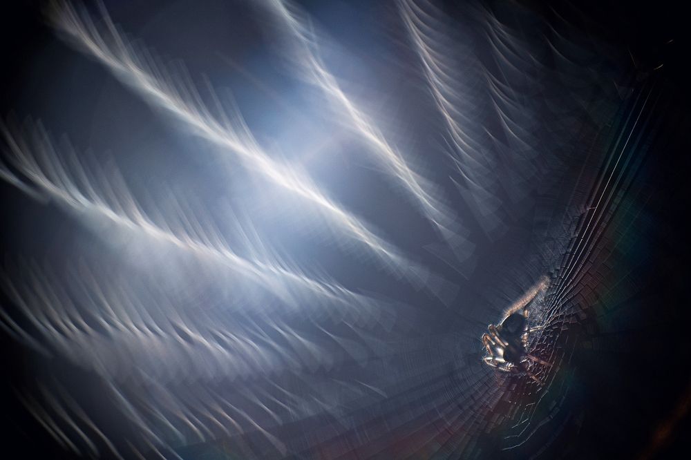 Фотография автора Нарчук Андрей