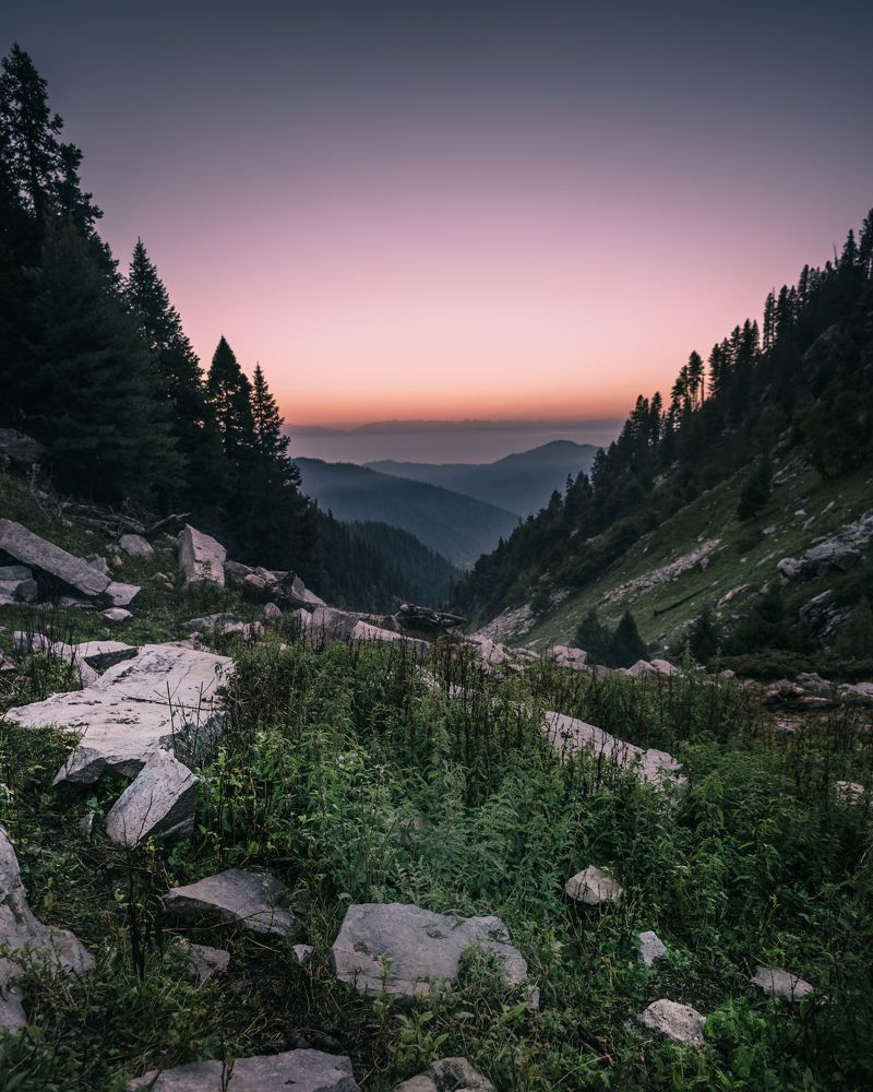 Photograph by Murad Bichoo