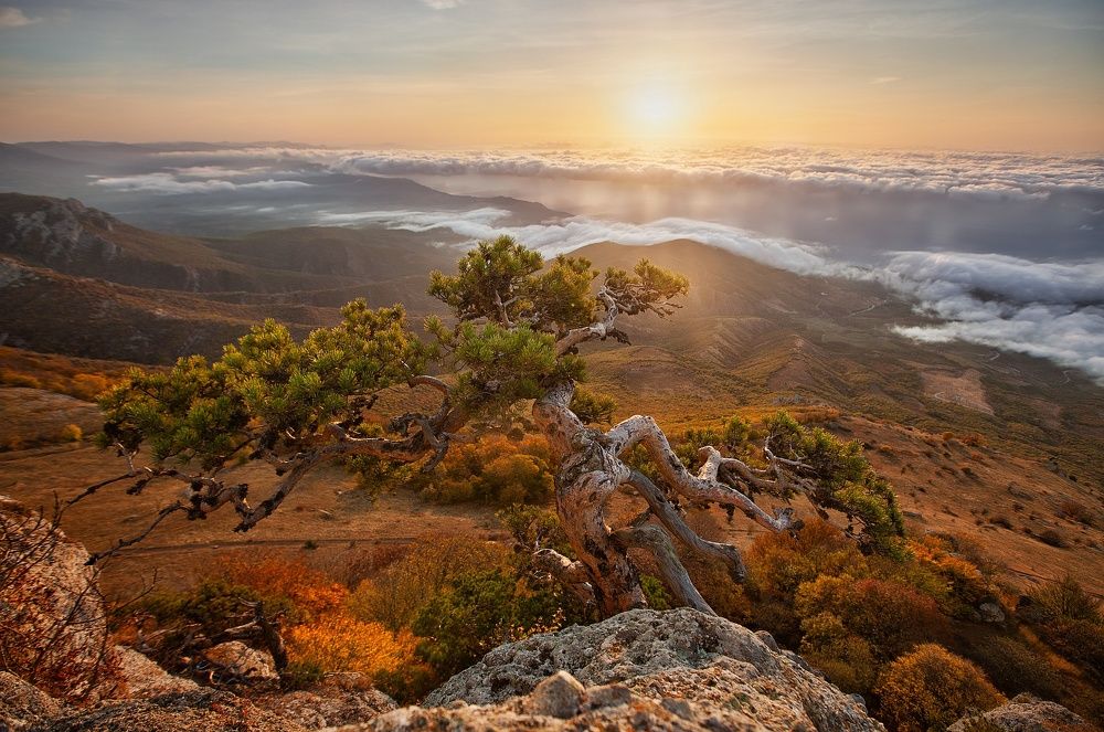 Фотография автора Нарчук Андрей