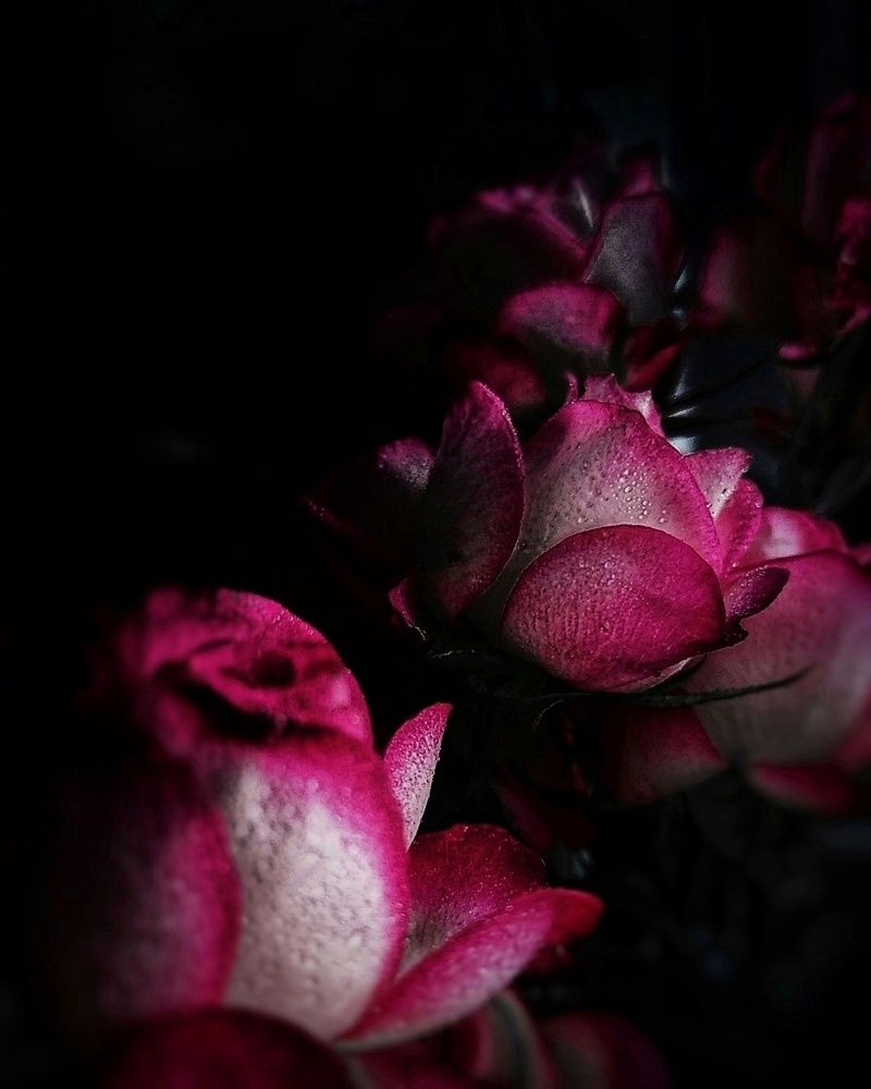 Photo #5848343