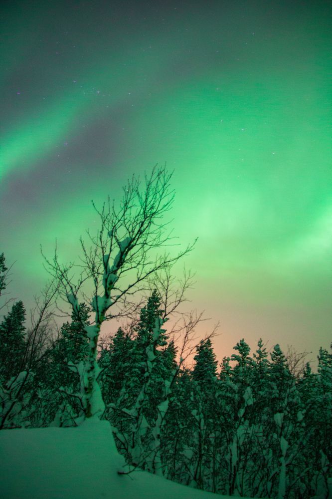 Photograph by Александр Доминов