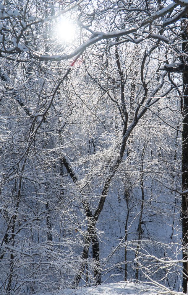 Photograph by Дмитрий Бельмаз