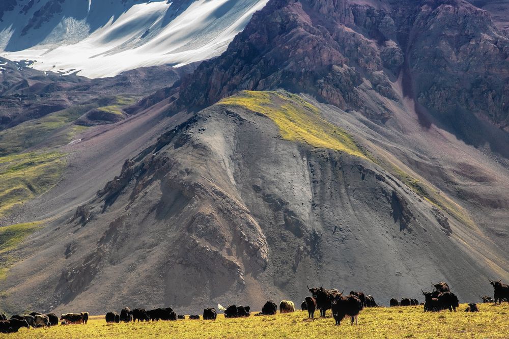 Photograph by Элина Магалимова