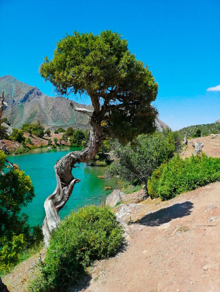 Фанские горы