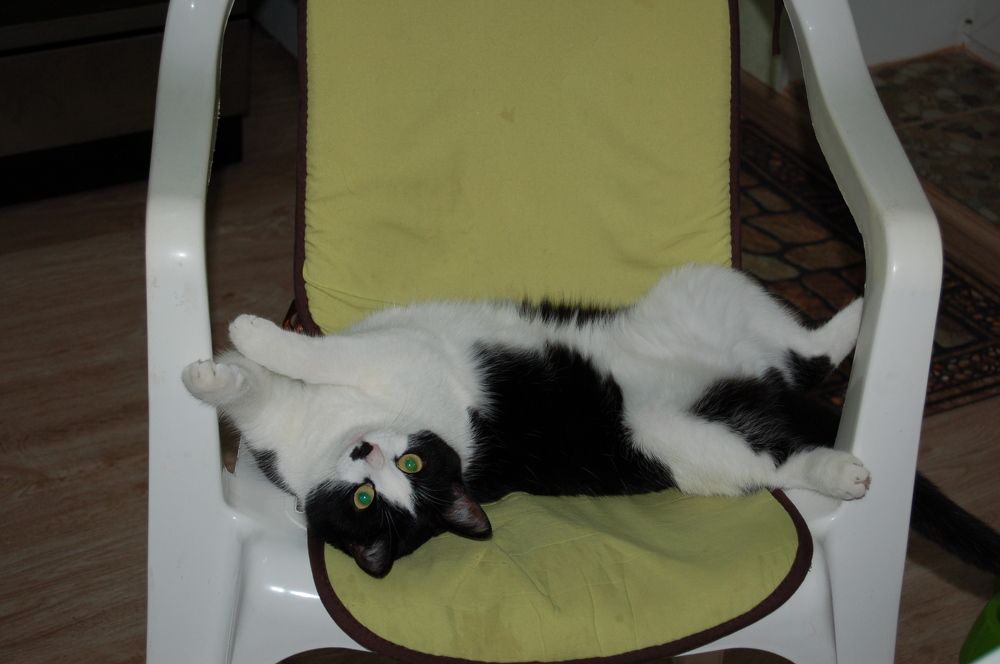 Photograph by Владимир Носов