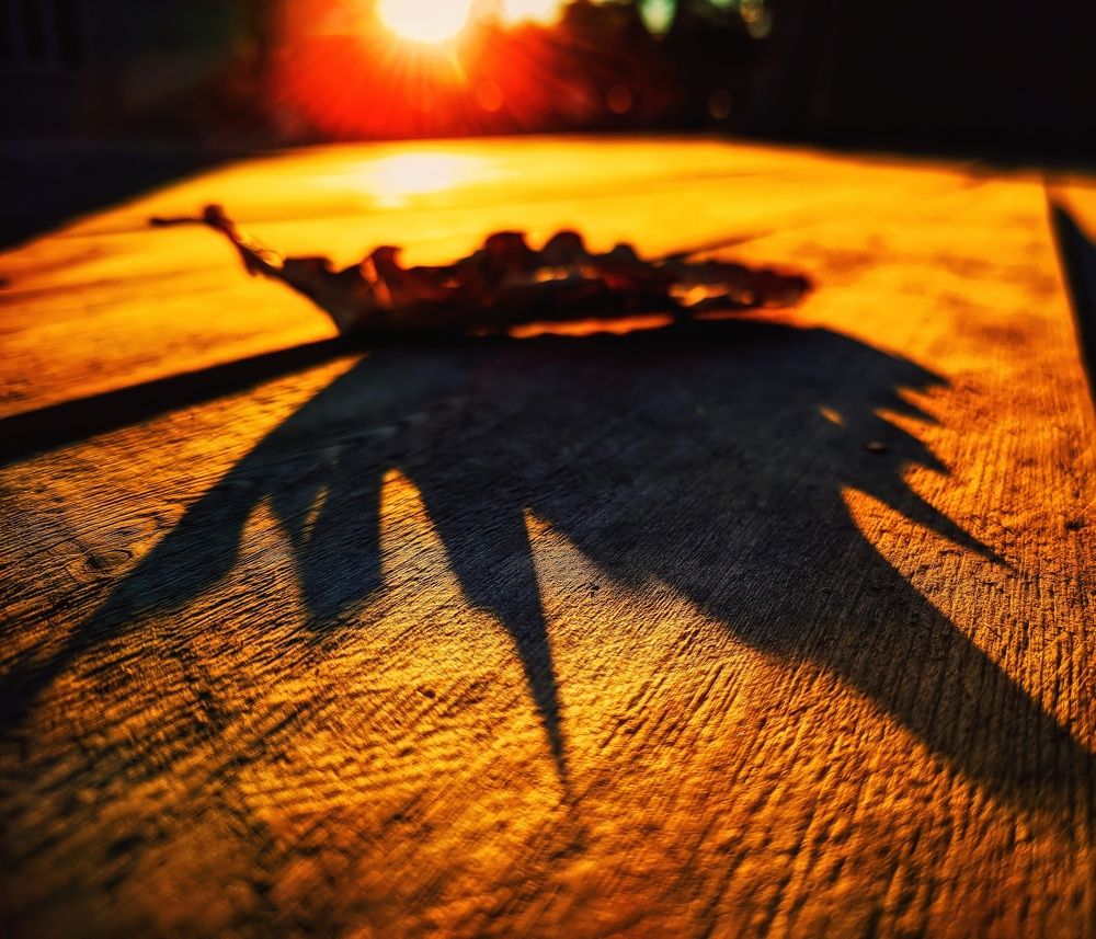 Photograph by Andrey Matveenko