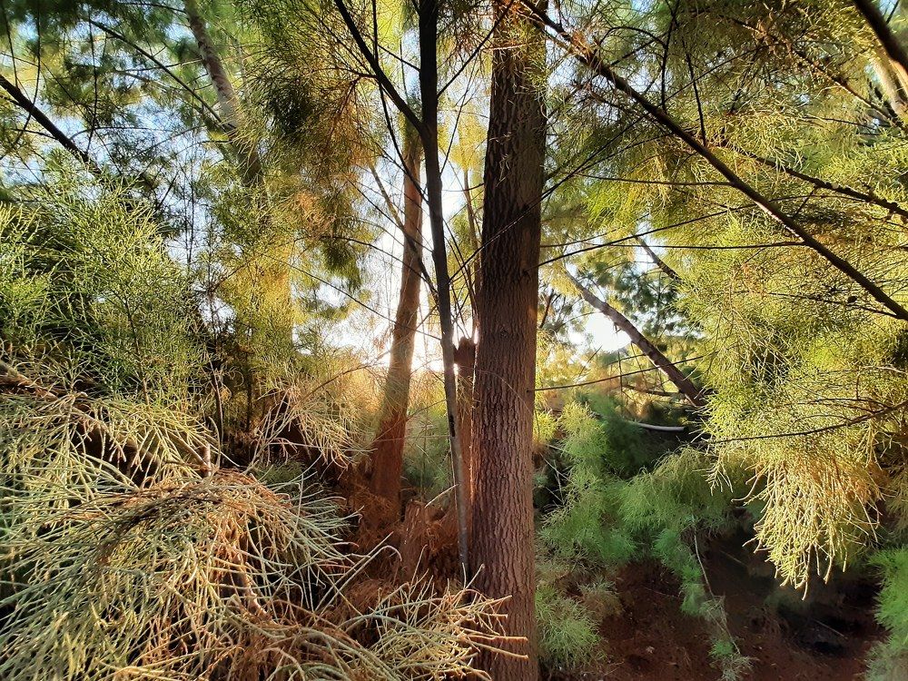 Photograph by عاصم صابر محمد رباح