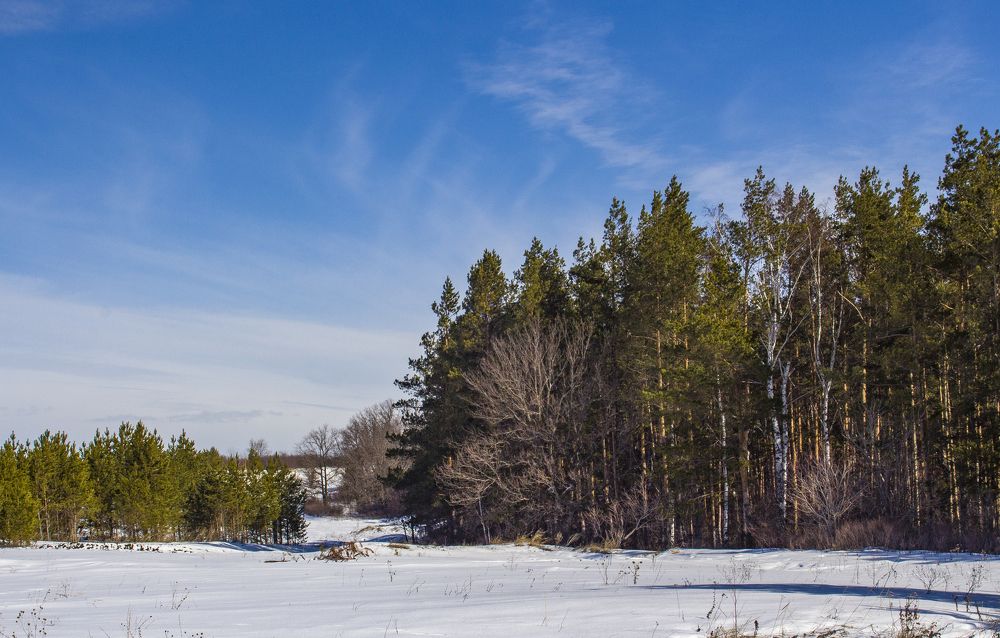 Лесная поляна
