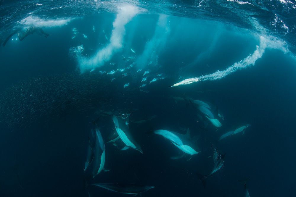 Фотография автора Нарчук Андрей