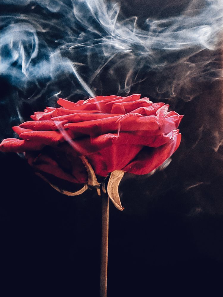 Photograph by Татьяна Киселева