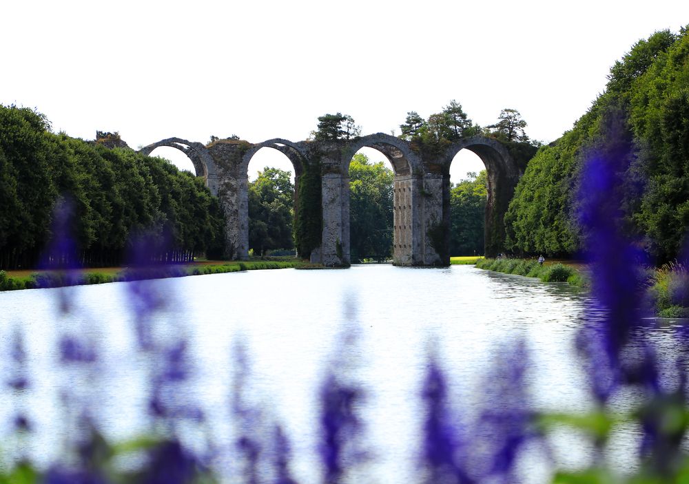 Фотография автора Evgeny Gorbunov