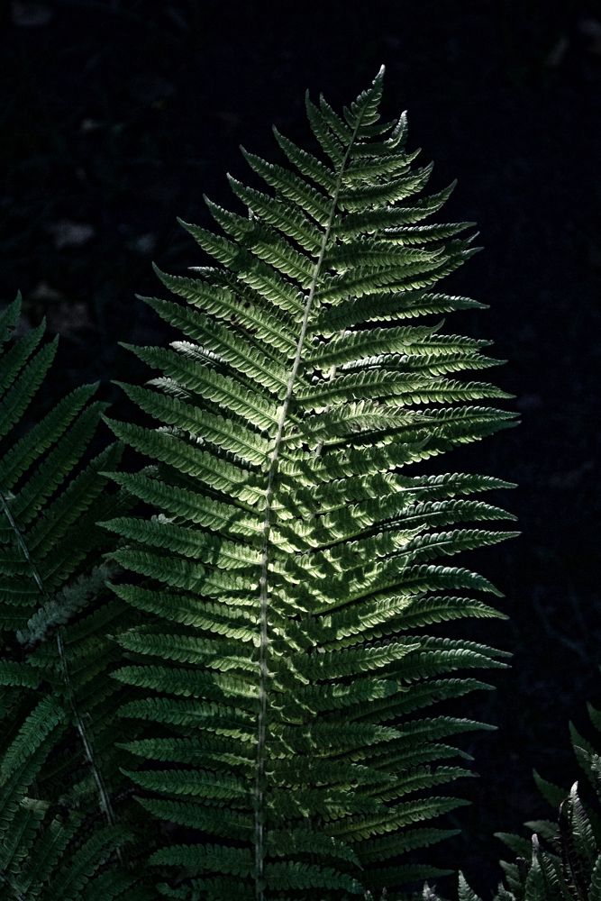 Photograph by Наташа Фишер