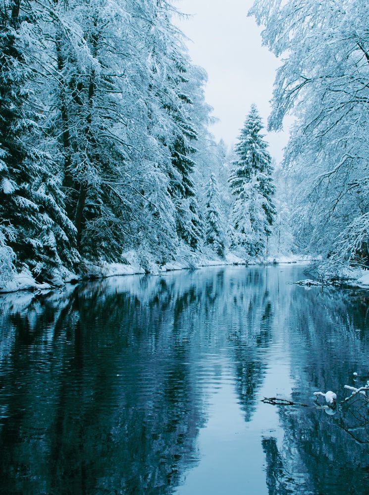 Photograph by Alexey S