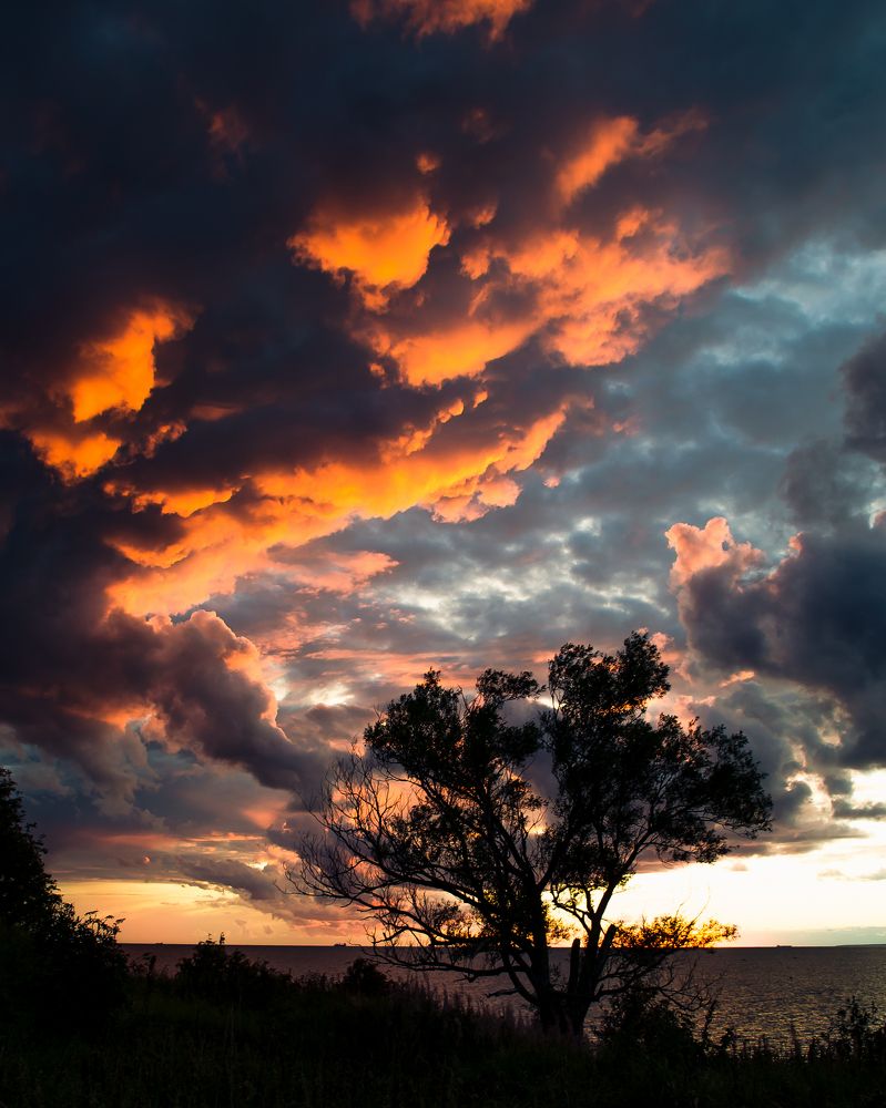 Photograph by Alexey S