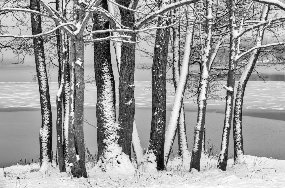 Photograph by Anatolijs Kivrins