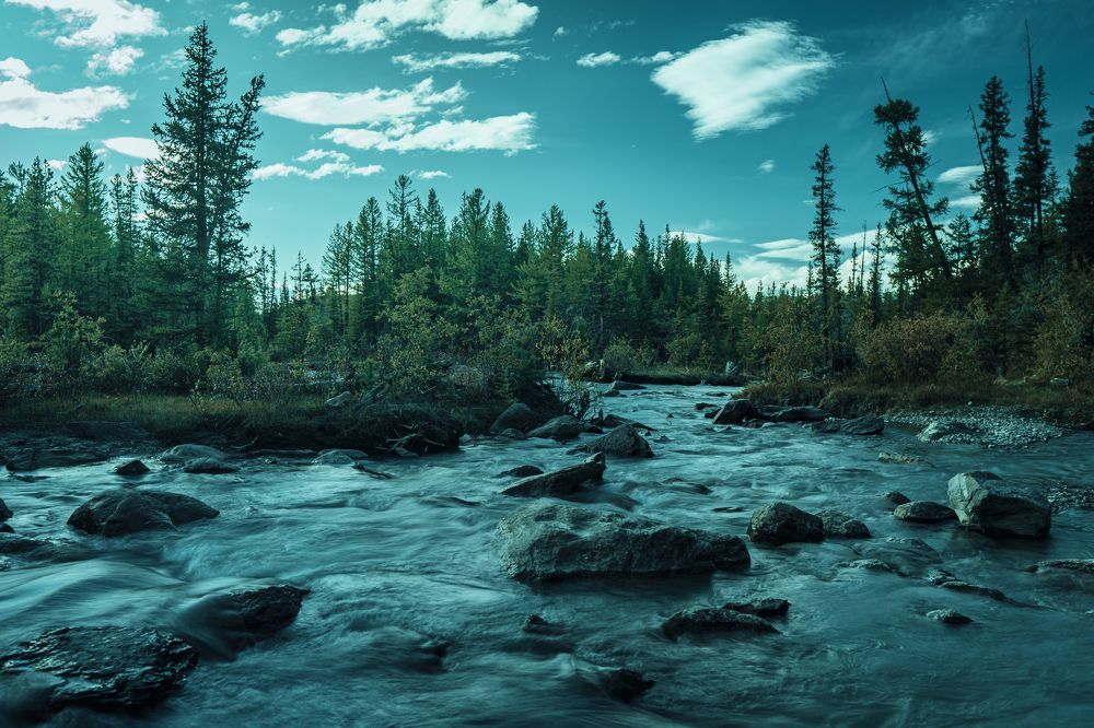 Photograph by Никита Давыдов