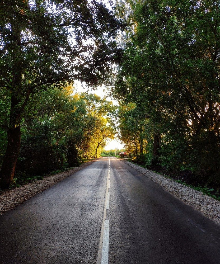 Фотография автора Александр Османов