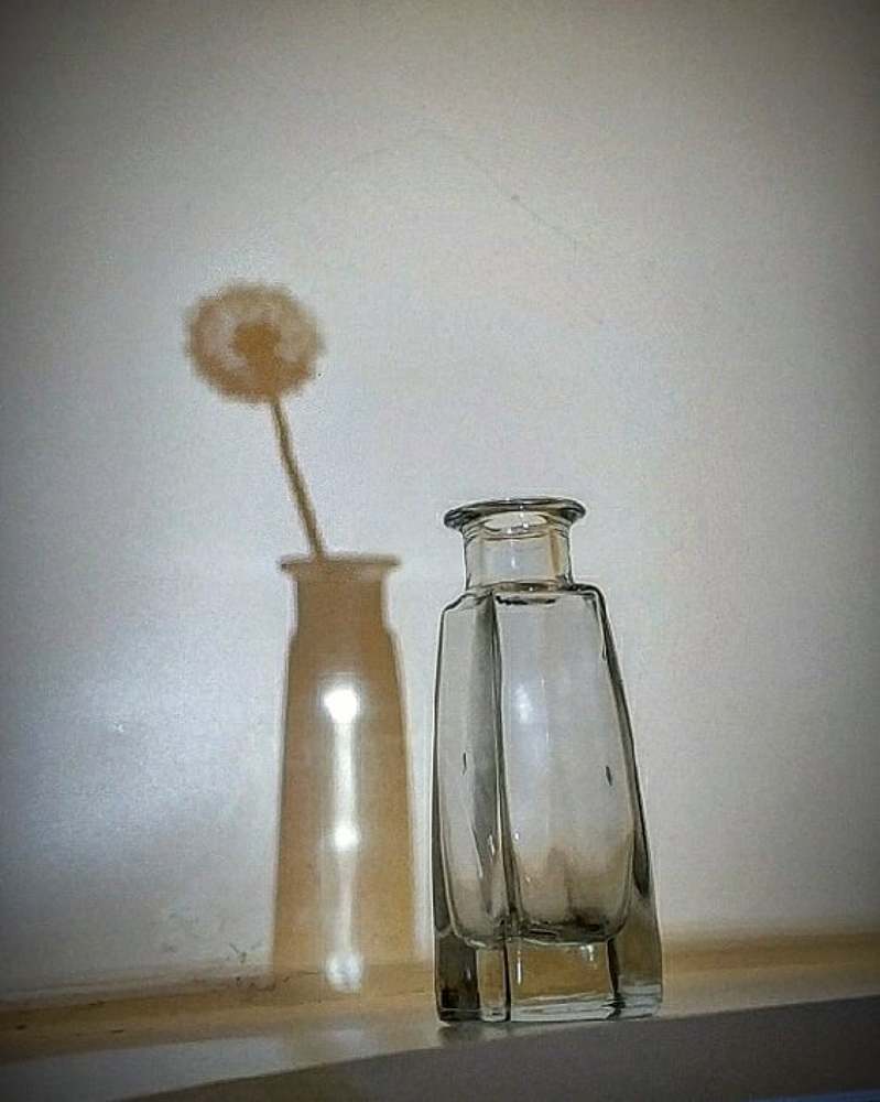 Photograph by Александр Усенко