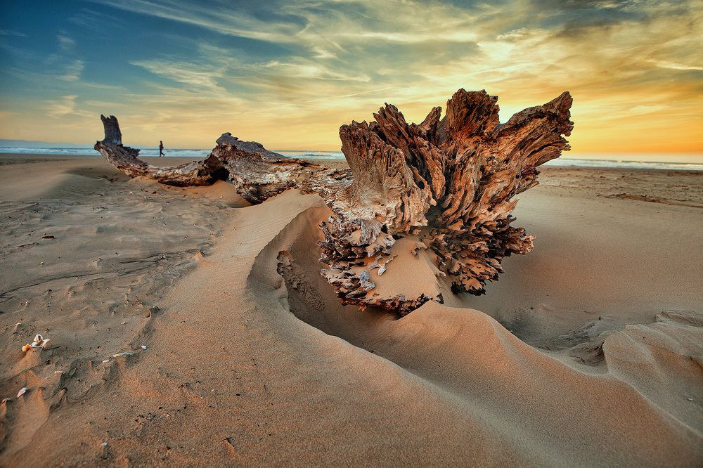 Фотография автора Нарчук Андрей