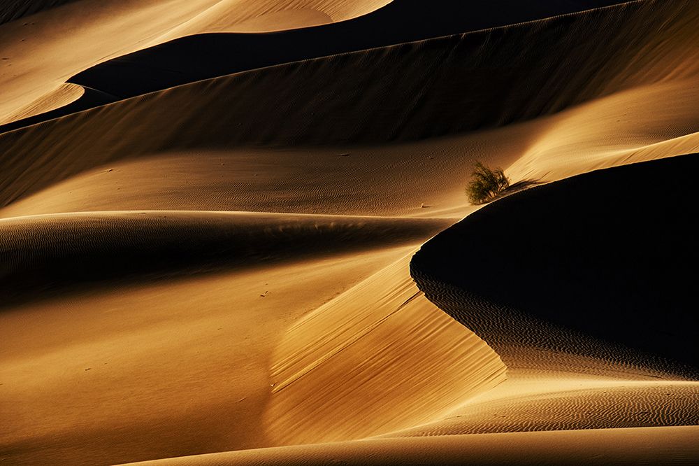 Фотография автора hadis sharifii