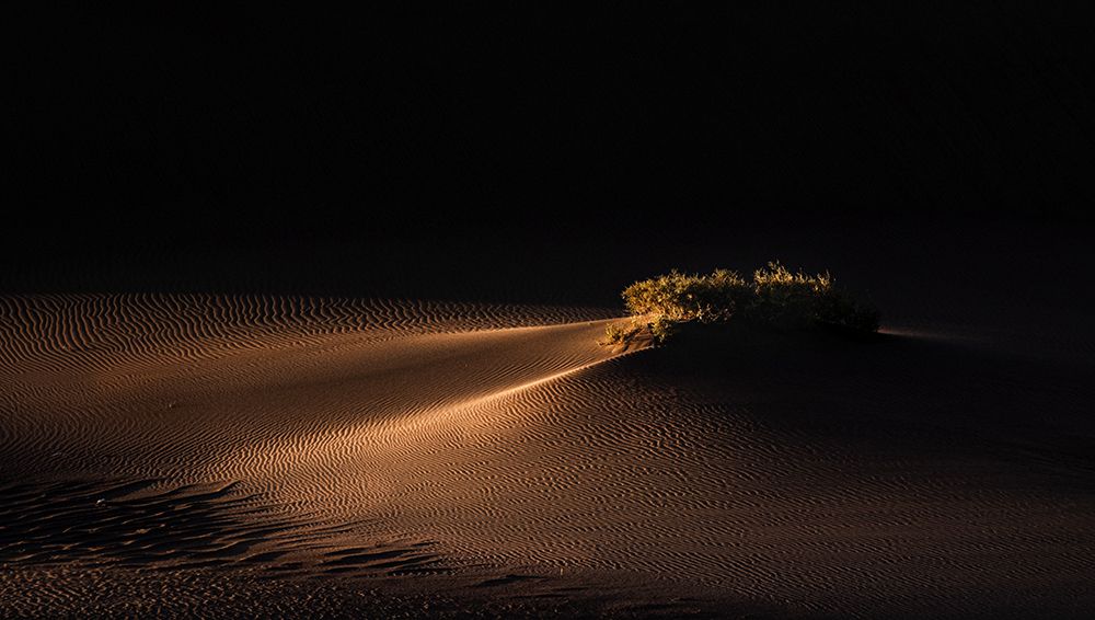 Фотография автора hadis sharifii