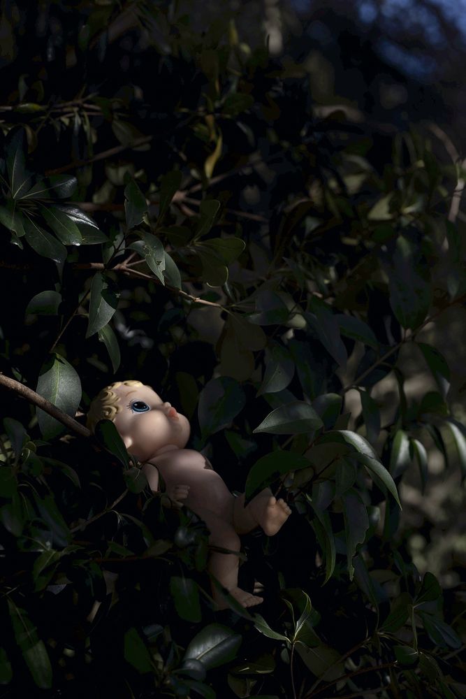 Photograph by Maria Mac lean