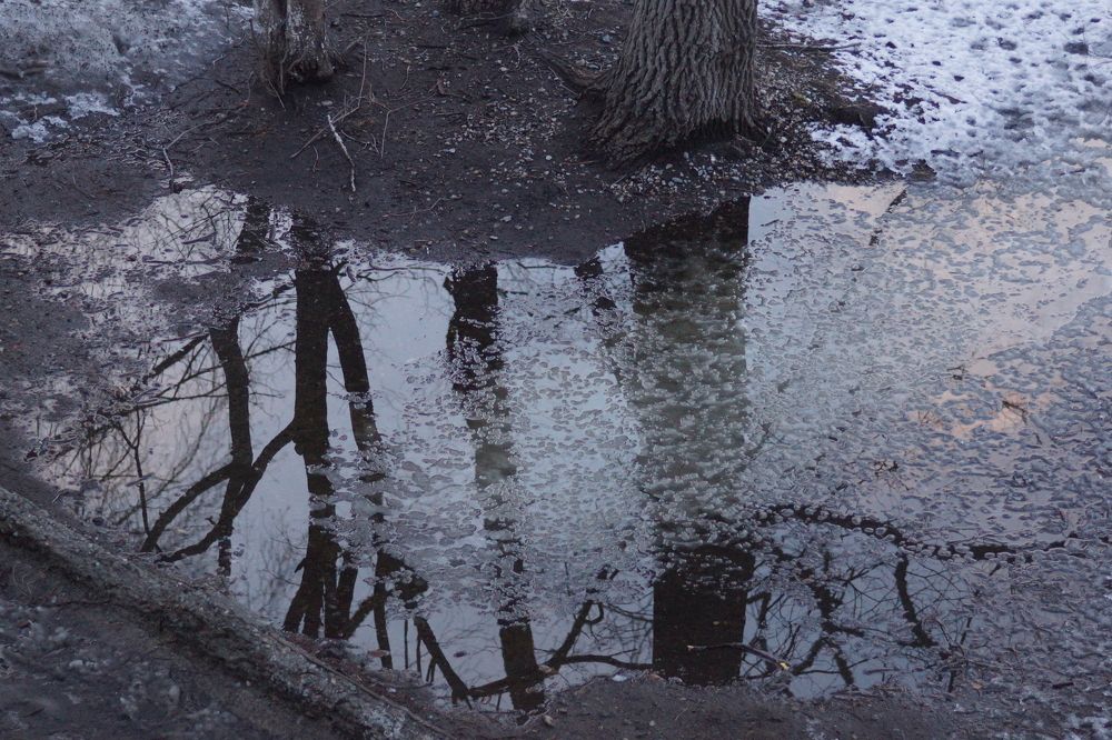 Photograph by Юлия Лихачева