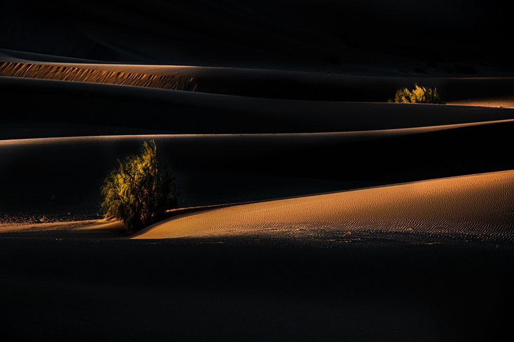 Фотография автора hadis sharifii