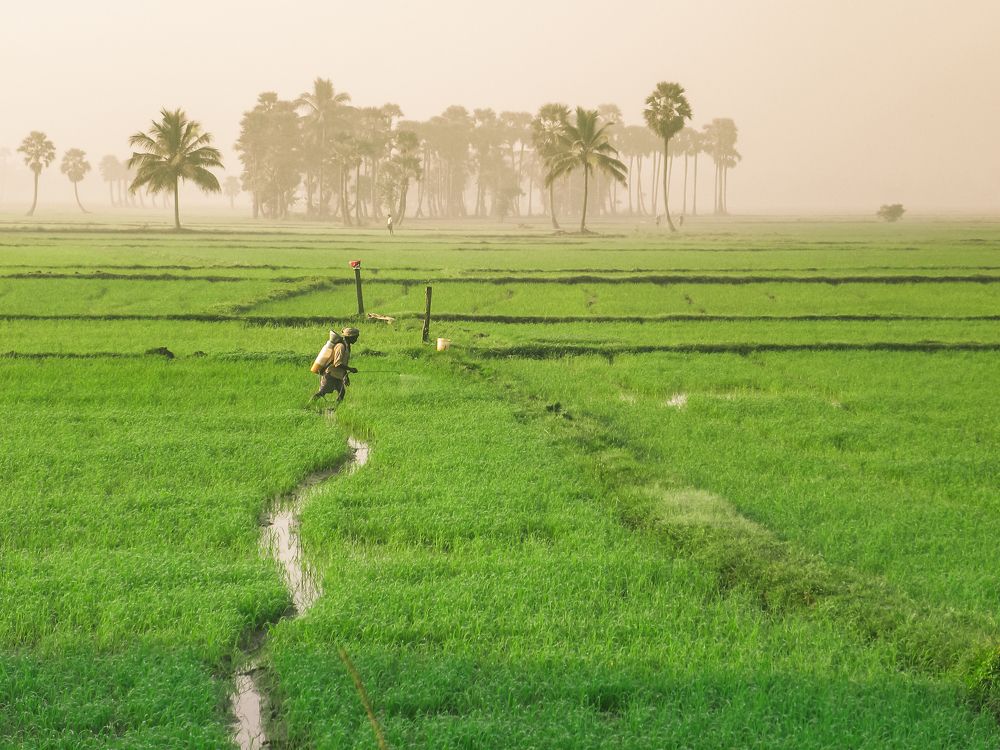 Photograph by Raaj Kiran