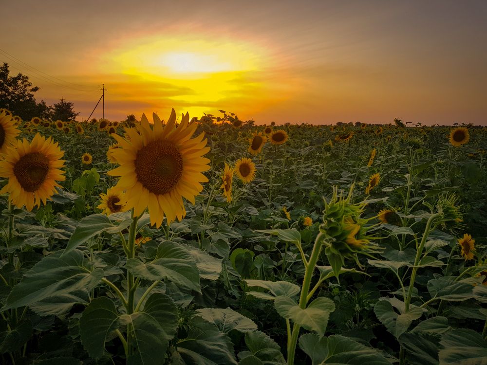 Photograph by Оксана Осенняя