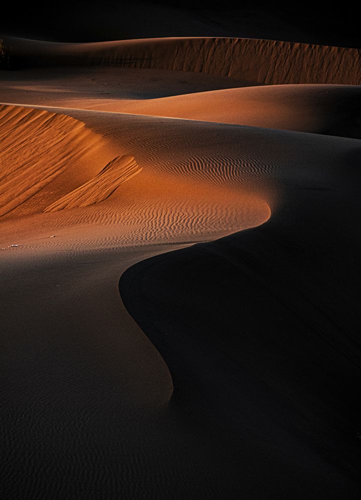 Фотография автора hadis sharifii