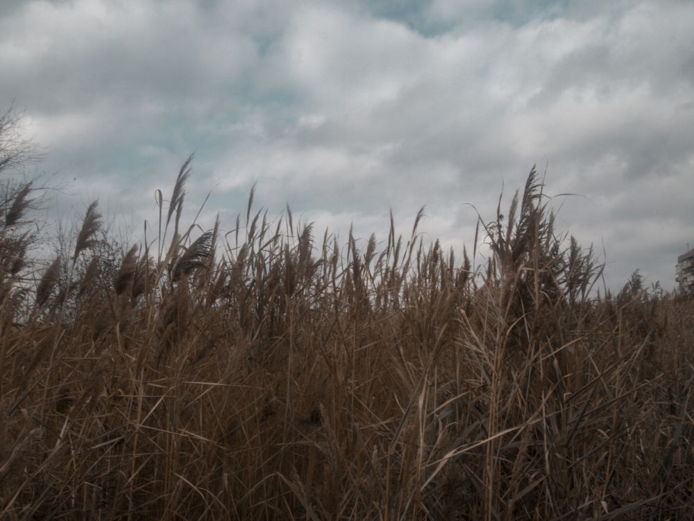 Photograph by Ксения Пархоменко