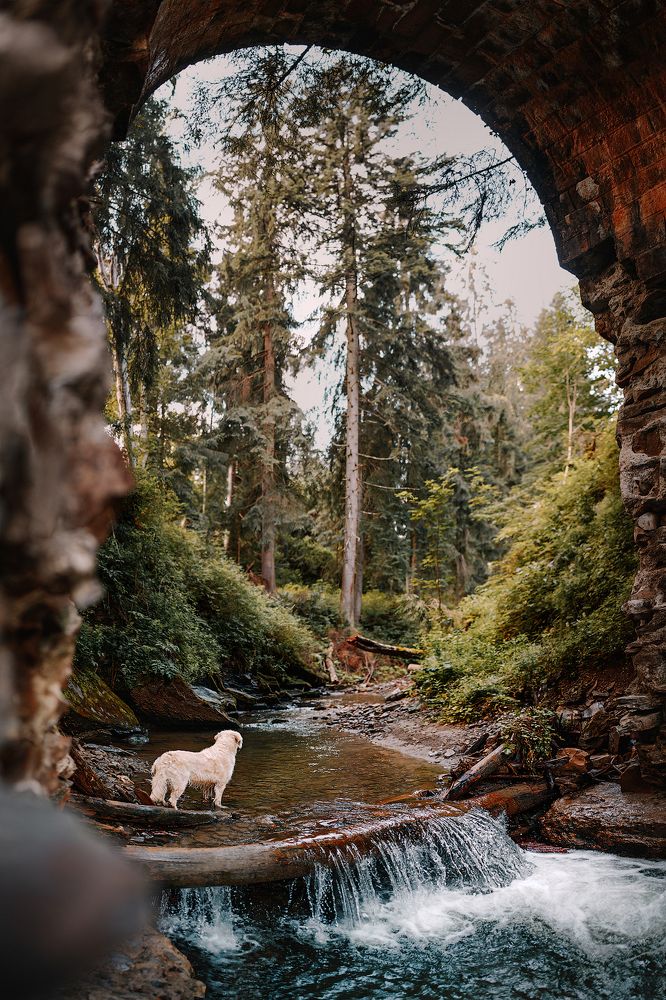 Photograph by Марина Плевако