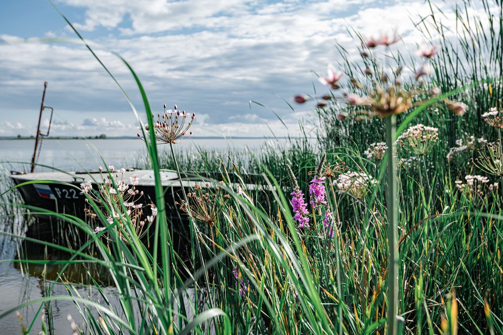 Photograph by Жемчугова Юлия