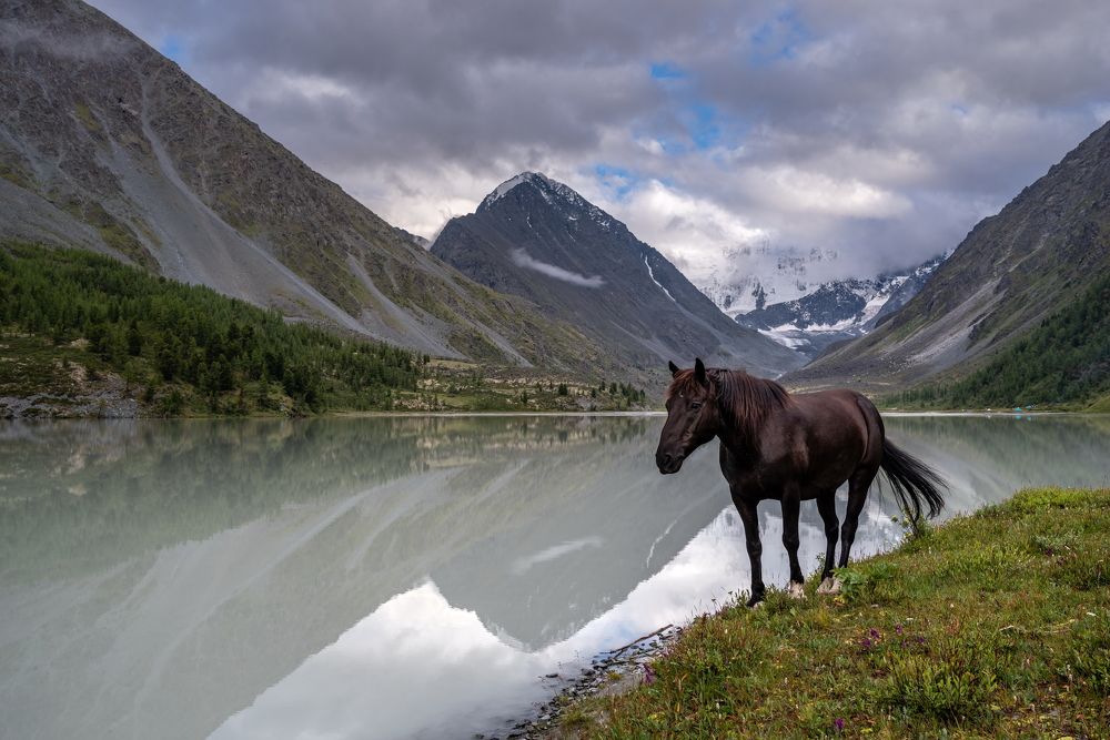 Photograph by Николай Васильев