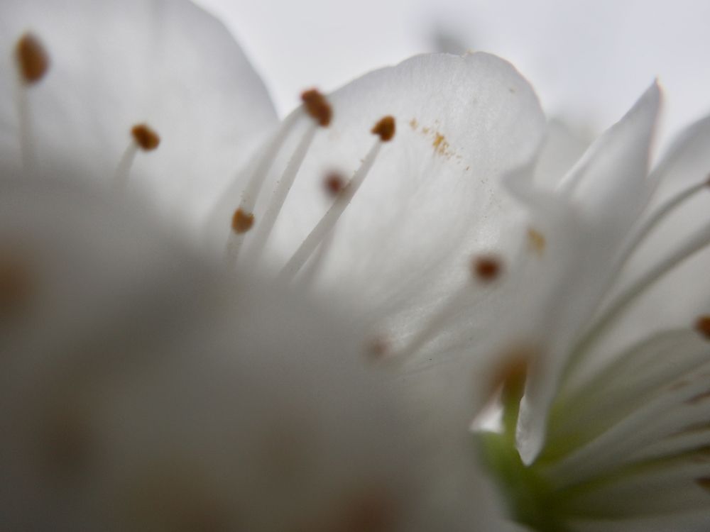 Photograph by Atelie-to