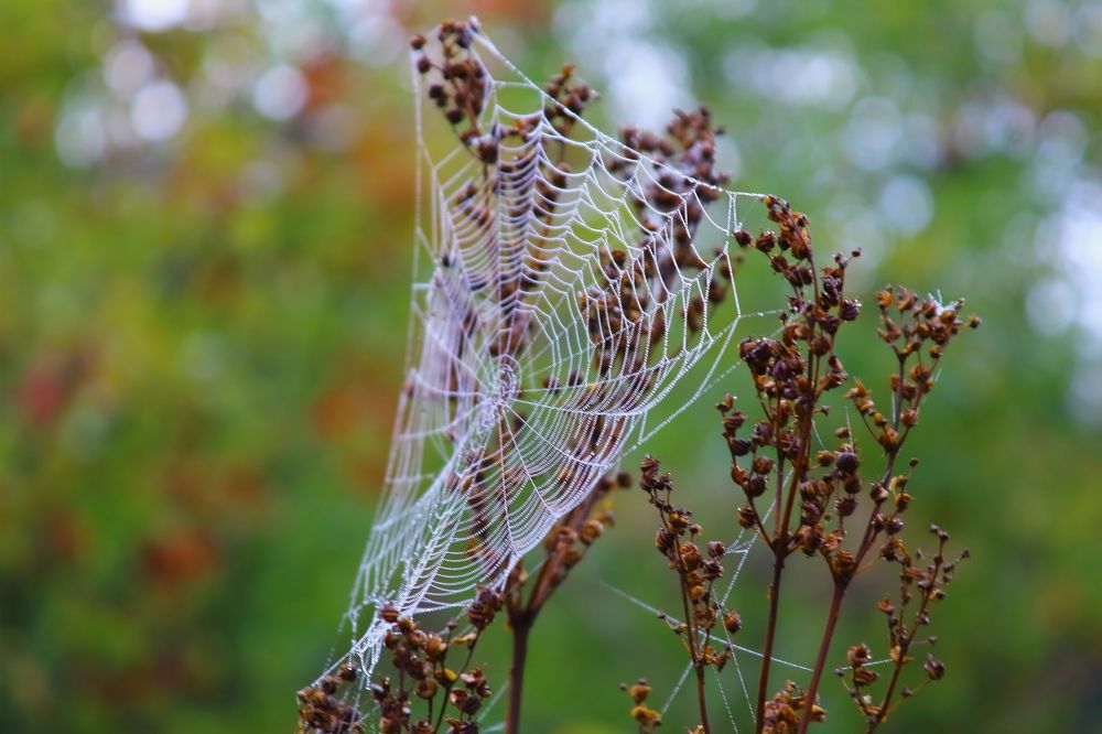 Photograph by Нина Титенкова