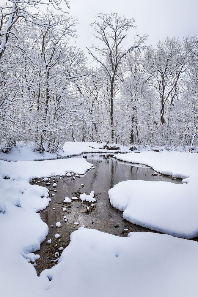 Photograph by Игорь Ковалёв