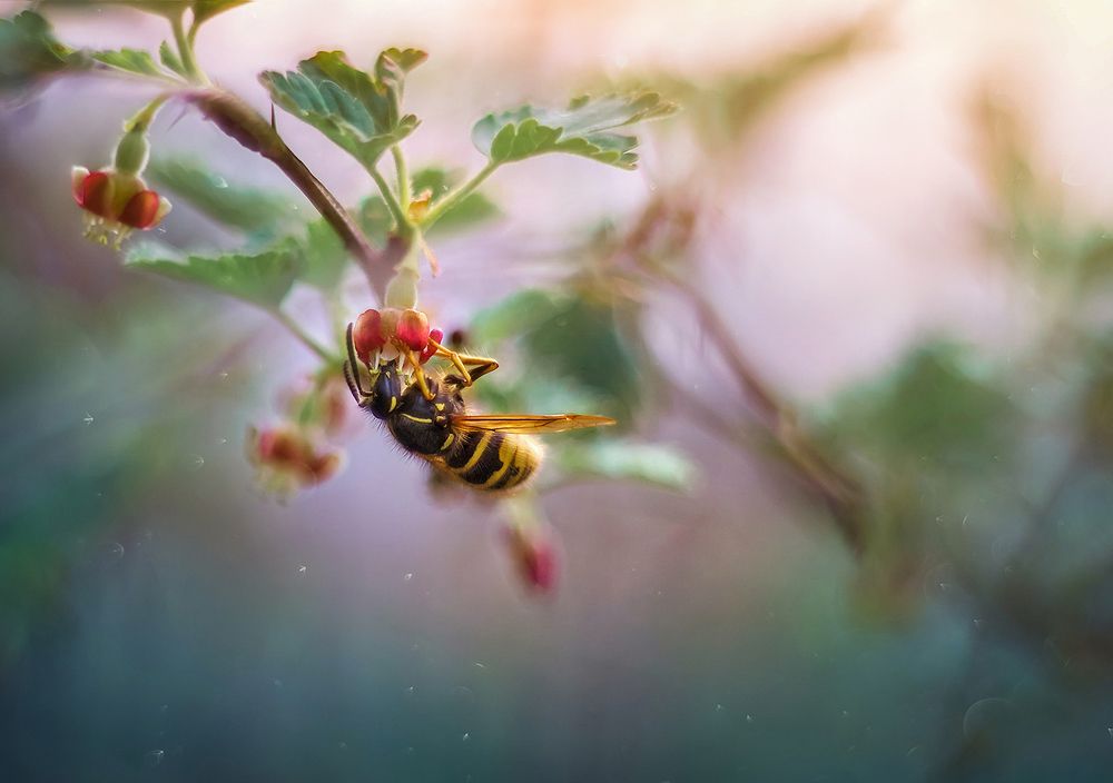 Photograph by Dana S.