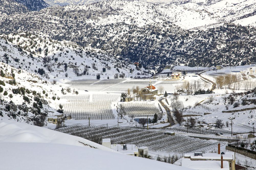 Photograph by Hiba Kallas