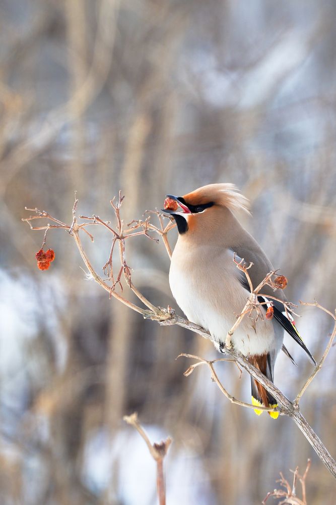 Photograph by Игорь Ковалёв