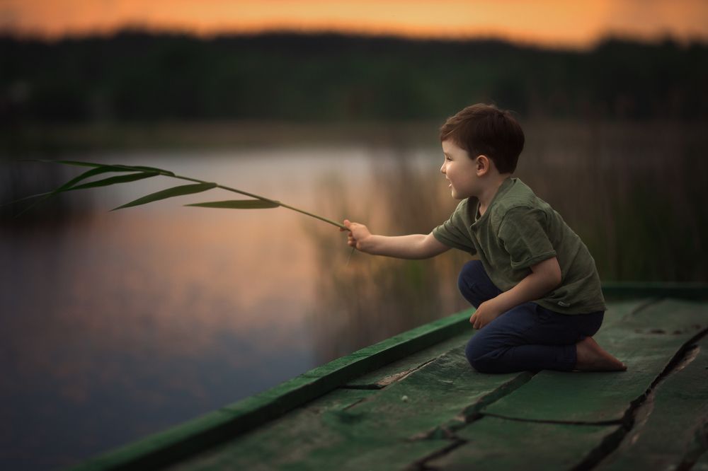 Photograph by Новицкая Татьяна