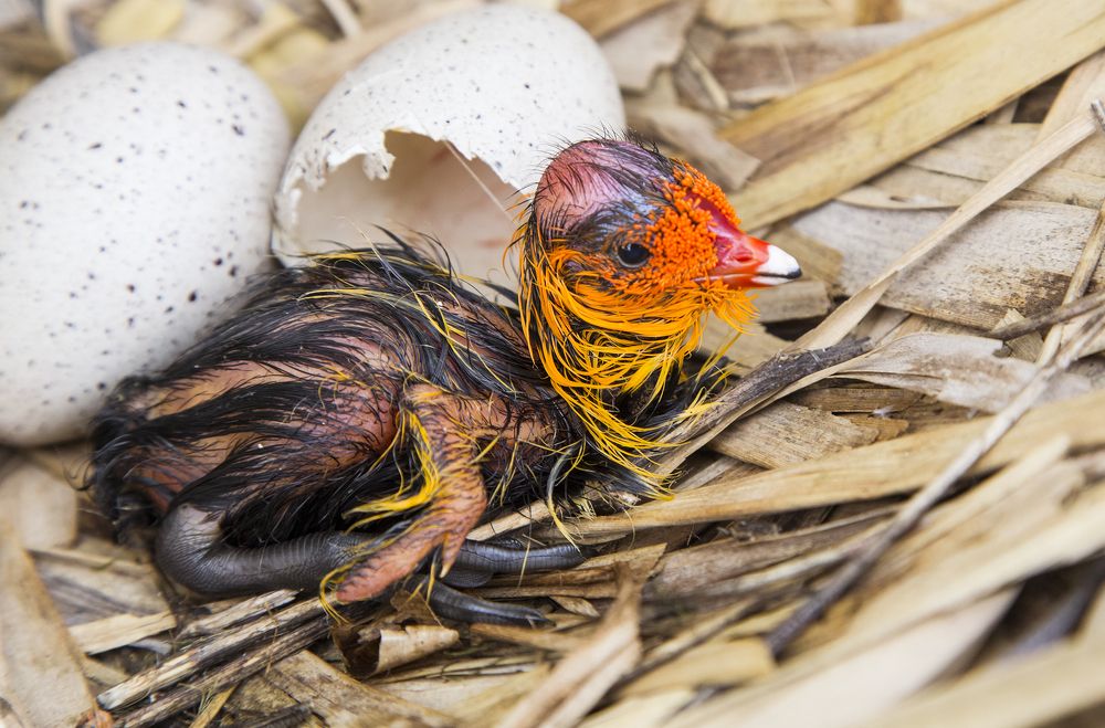 Photograph by Виктор Масальский