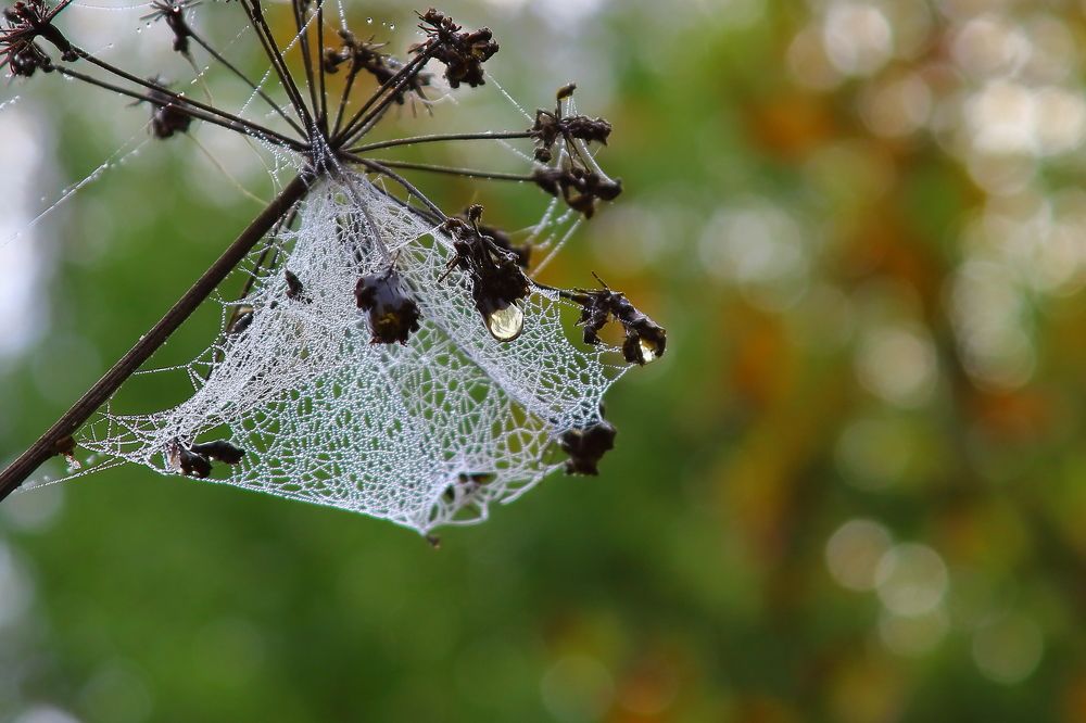 Photograph by Нина Титенкова